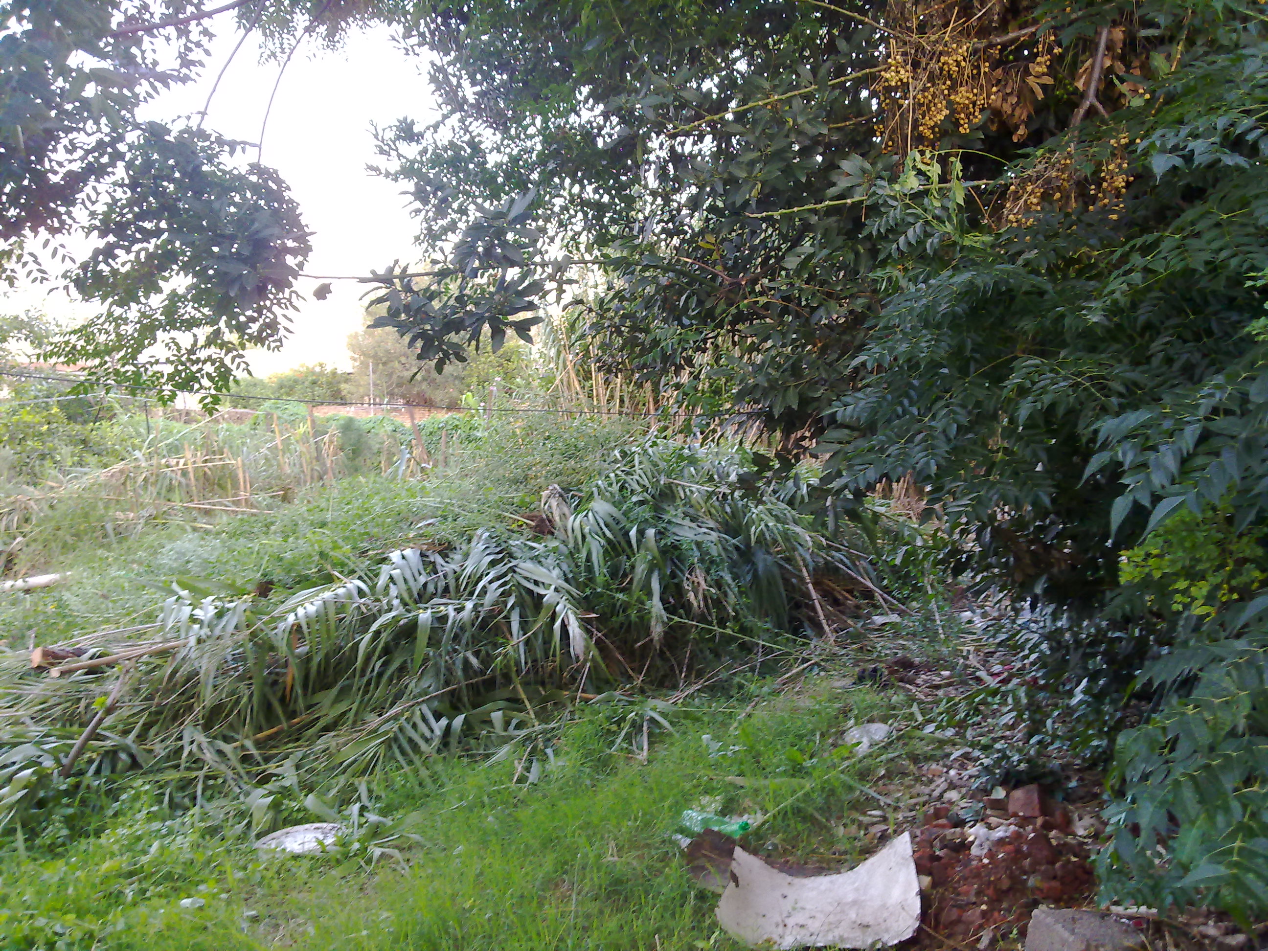 fotos/2012-11-12 - Tereno y cena Osvaldo/10032012200.jpg